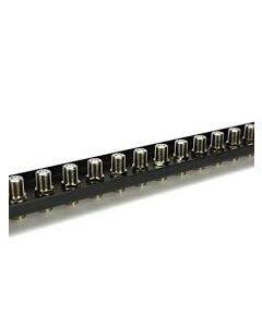 24 Port F Connector Patch Panel for 19" Rack.